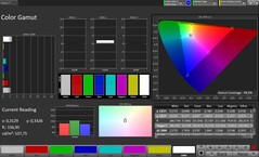 Farbraum sRGB (True Tone deaktiviert)