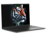 Das Highlight des InfinityBook Pro 14 ist das 16:10-Display mit 1.800p-Auflösung. (Bild: Tuxedo)