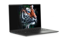 Das Highlight des InfinityBook Pro 14 ist das 16:10-Display mit 1.800p-Auflösung. (Bild: Tuxedo)