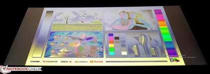 ...aufgrund des TN-Panels