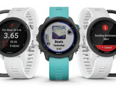 Die Garmin Forerunner 245 Music gibt es aktuell online zum absoluten Bestpreis. (Bild: Garmin)