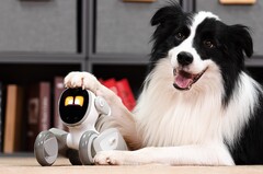Loona präsentiert sich als niedliches Roboter-Haustier mit einer ganze Reihe an Sensoren. (Bild: Jianbo)