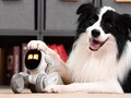 Loona präsentiert sich als niedliches Roboter-Haustier mit einer ganze Reihe an Sensoren. (Bild: Jianbo)