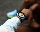 Der Garmin Connect IQ Store verzögert App-Updates derzeit um mehrere Tage.