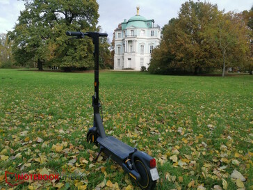 Im Schlossgarten Charlottenburg