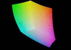 LG Gram Pro 2-in-1 vs. sRGB