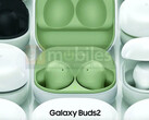 Die Galaxy Buds2 kommen anscheinend in vier unterschiedlichen Farbvarianten (Bild: 91mobiles)