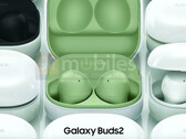 Die Galaxy Buds2 kommen anscheinend in vier unterschiedlichen Farbvarianten (Bild: 91mobiles)