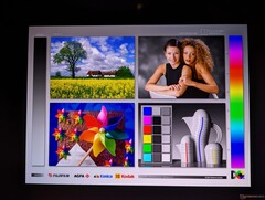Weite OLED-Blickwinkel im Portrait- und Landscape-Modus. Bei sehr extremen Blickwinkeln ist ein leichter Regenbogen-Effekt wahrzunehmen