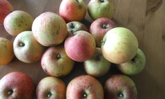 Aufnahme mit der Hauptkamera