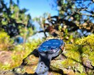 Im Test: Samsung Galaxy Watch Ultra2