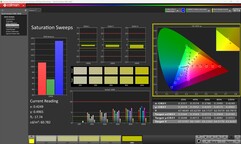 Sättigung (kalibriert)