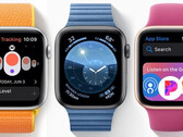 Smartwatches: Apple Watch und Fitbit dominieren Wearables-Markt in Nordamerika.