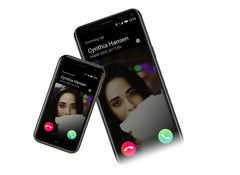 Ein kleiner Begleiter ist das Palm Companion, ohne großen Bruder funktioniert er aber nicht.