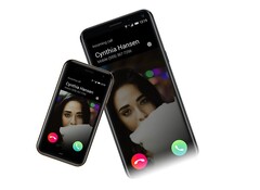 Ein kleiner Begleiter ist das Palm Companion, ohne großen Bruder funktioniert er aber nicht.