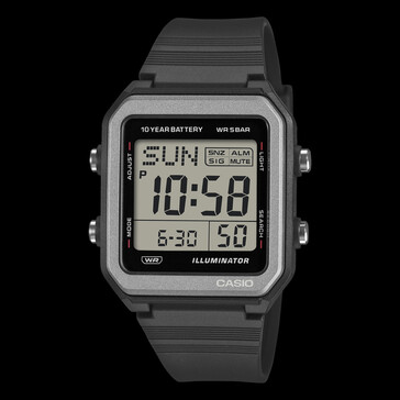 Die Casio W-221H-8A.