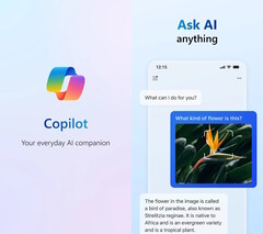 Datenschutzverstöße von Microsofts Copilot-App: