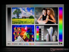 Breite IPS-Betrachtungswinkel. Farben und Kontrast verschlechtern sich nur geringfügig bei Betrachtung aus großen Winkeln