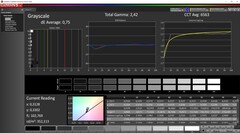 CalMAN: Graustufen (kalibriert)