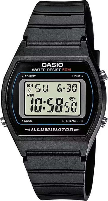Das beliebte Modell Casio W-202-1AVEF