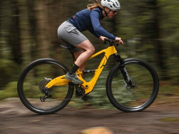 Leichtes eElja in schneller Trail-Fahrt.