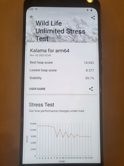 3DMark Wild Life Unlimited Stress Test