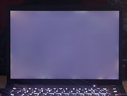 Kaum Backlight-Bleeding (hier verstärkt dargestellt)