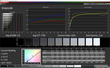Elite x3: Graustufen (Zielfarbraum: sRGB)