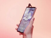 Das Sony Xperia 5 V besitzt einen 3,5 mm Kopfhöreranschluss und ein 21:9-Display. (Bild: u/JB2unique, Reddit)