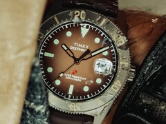 Huckberry x Timex Deepwater Reef 200 Taucheruhr