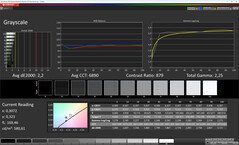 Graustufen Hauptdisplay (Farbmodus: Normal, Farbtemperatur: Standard, Zielfarbraum: sRGB)