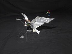 RoboFalcon2.0 (Bildquelle: Forscher; bearbeitet)