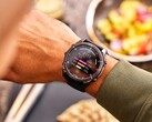 Garmin Connect+ wird um ein Ernährungsprotokoll erweitert. (Bildquelle: Garmin)