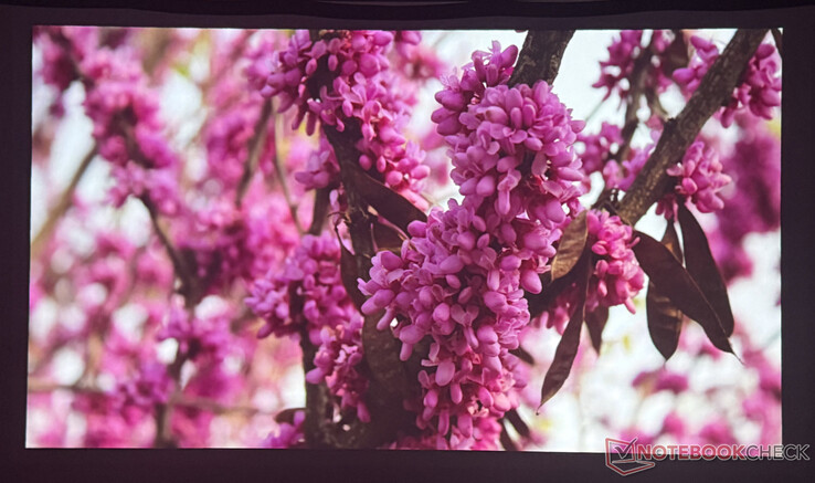 Bildqualität Nebula P1 im abgedunkelten Raum (Bilderquelle: Pexels)