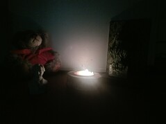 Aufnahme Vale V12X Hauptkamera