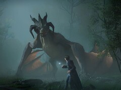 Drache in Hogwarts Legacy