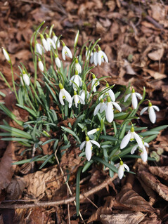Aufnahme mit der Hauptkamera