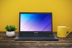 Die beiden neuesten Asus VivoBooks sind klein, schick und günstig, aber nicht gerade leistungsstark. (Bild: Asus)