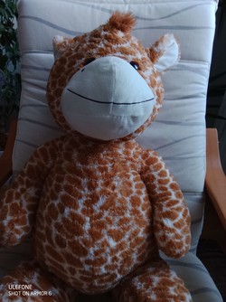 Aufnahme mit der 8 MP-Frontcam