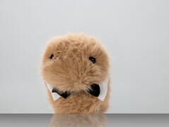 Dieter (Bildquelle: ZKM Karlsruhe)