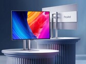 Asus bietet jetzt einen Profi-Monitor mit 240 Hz OLED-Panel an. (Bildquelle: Asus)