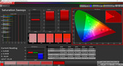 CalMAN Sättigung – AdobeRGB