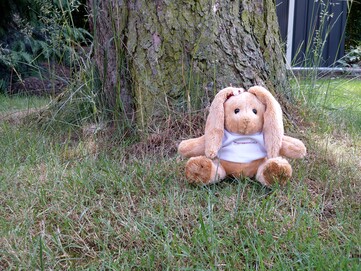 HTC U12+ mit zweifachem optischen Zoom