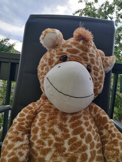 Huawei P30 Pro | Foto-Modus