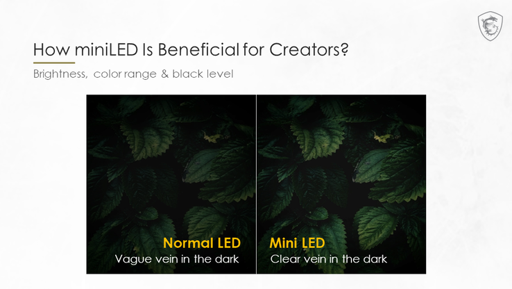 Local Dimming bei Mini-LEDs verbessert die Darstellung von Blättern in dunklen Bereichen. (Quelle: MSI)