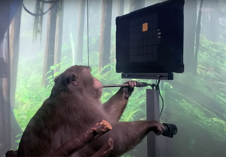 Bei der Neuralink Präsentation wurde ein Affe gezeigt, welcher mit Hilfe des Implantats Pong spielt (Screenshot: Neuralink/Youtube)