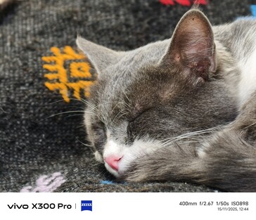 Vivo X300 Pro 400mm mit Tele-Konverter.