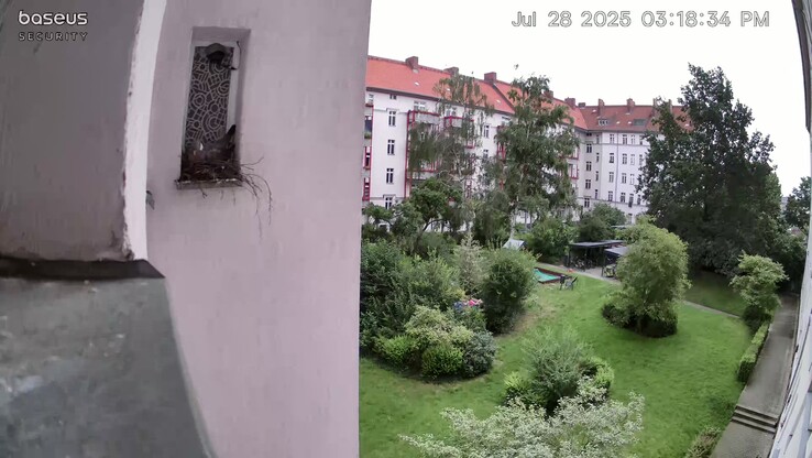 Mäßige 4K-Bildqualität