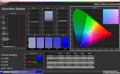 CalMAN - Sättigung (Standard, Lebhaft, P3)