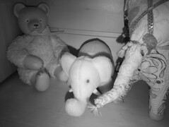 Nachtsichtaufnahme Stofftiere